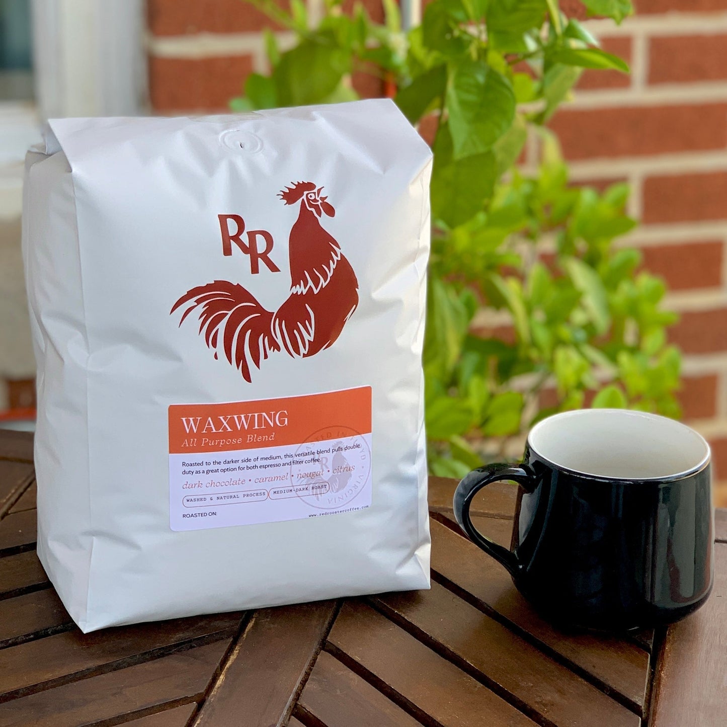 Waxwing All - Purpose Blend - Roasted Coffee for Everyday Home Brewing