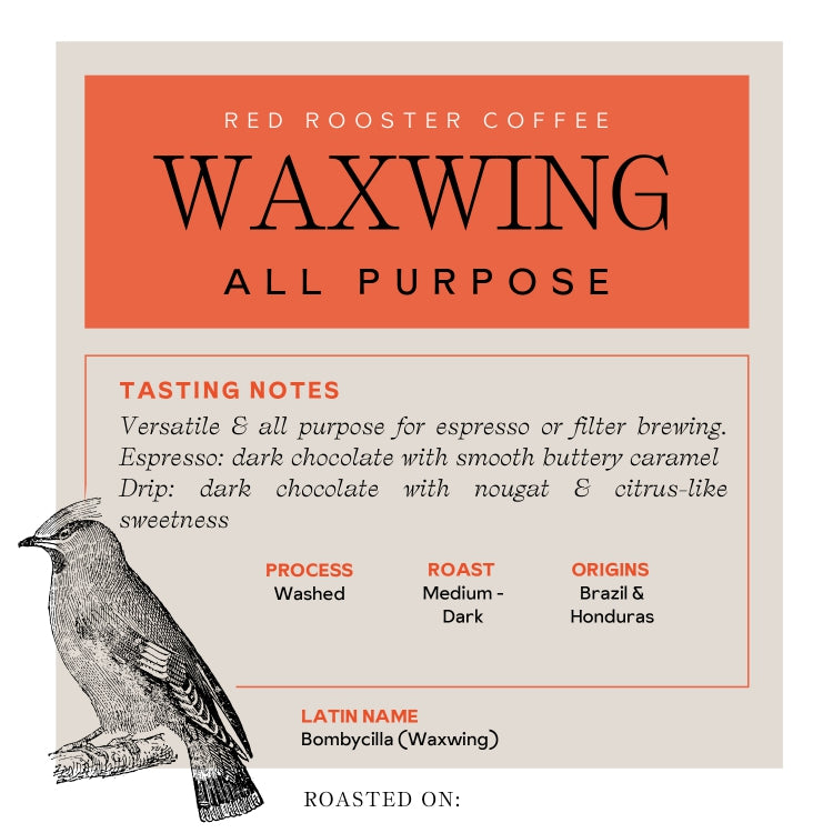 Waxwing All - Purpose Blend - Roasted Coffee for Everyday Home Brewing