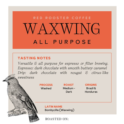 Waxwing All - Purpose Blend - Roasted Coffee for Everyday Home Brewing