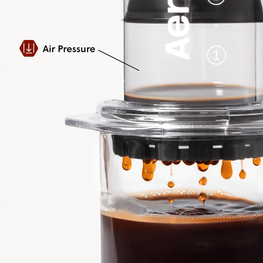Travelers Bundle - Clear - Coffee Brewing Bundle for Complete Preparation