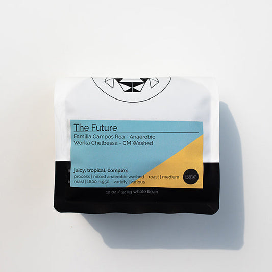 The Future 12 oz - Roasted Coffee for Everyday Home Brewing