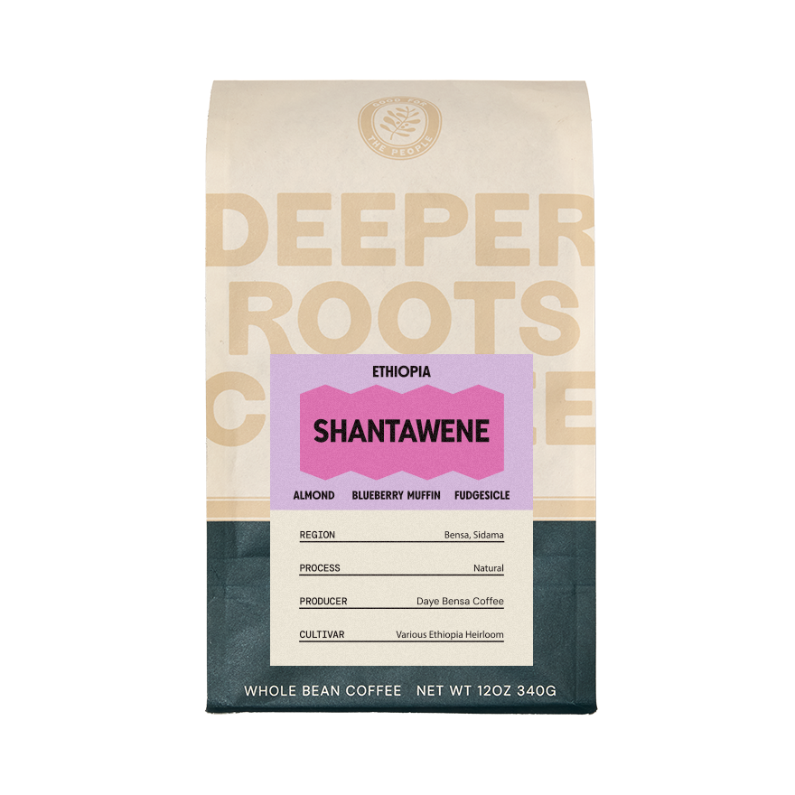 Ethiopia Shantawene 12 oz - Roasted Coffee for Everyday Home Brewing