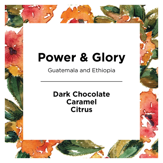 Power and Glory - Roasted Coffee for Everyday Home Brewing