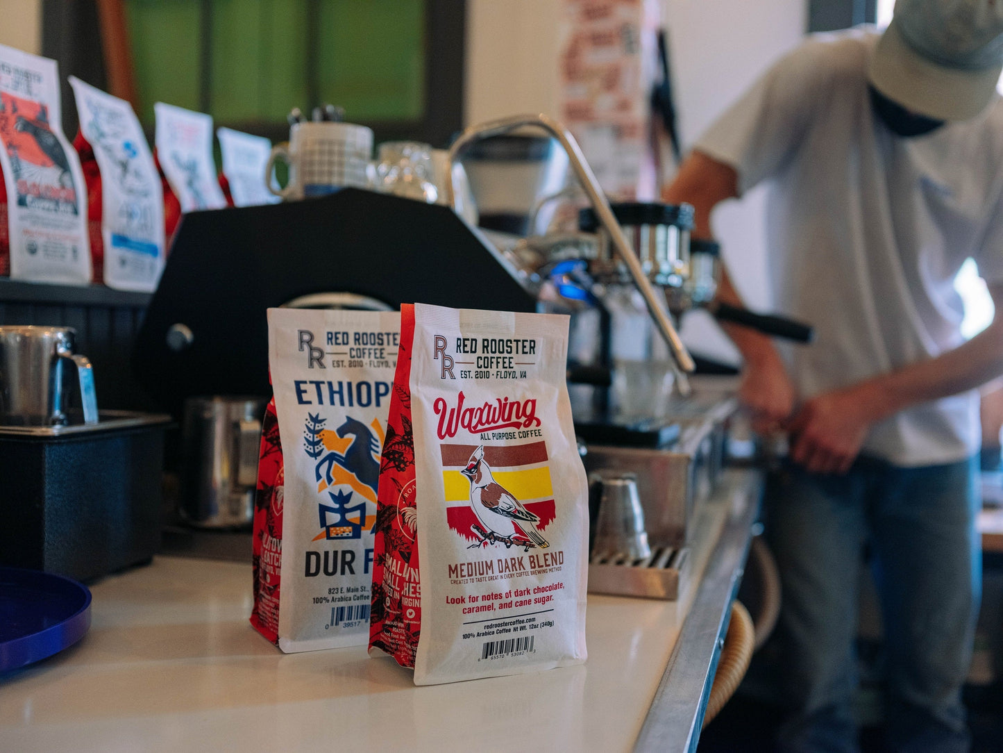 Waxwing All - Purpose Blend - Roasted Coffee for Everyday Home Brewing