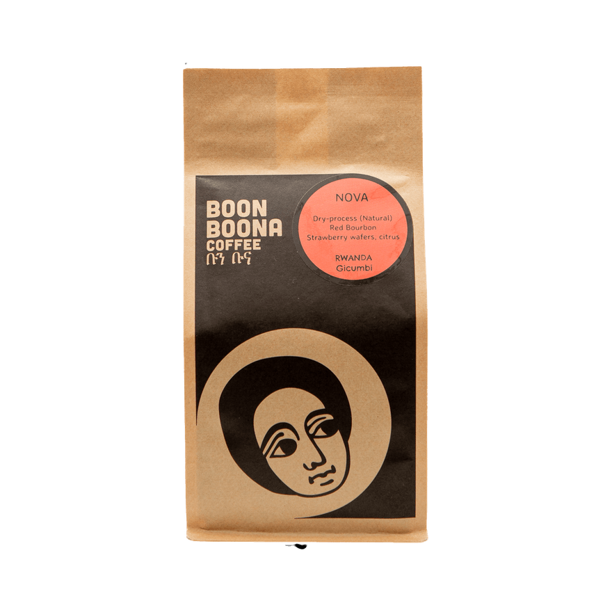 Nova 12 oz - Roasted Coffee for Everyday Home Brewing