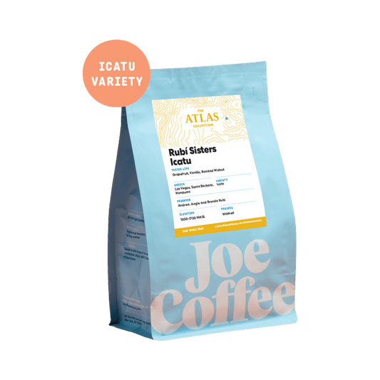 Rubi Sisters Icatu 12 oz - Roasted Coffee for Everyday Home Brewing