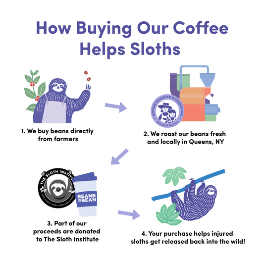 Rio Nights - Roasted Coffee for Everyday Home Brewing